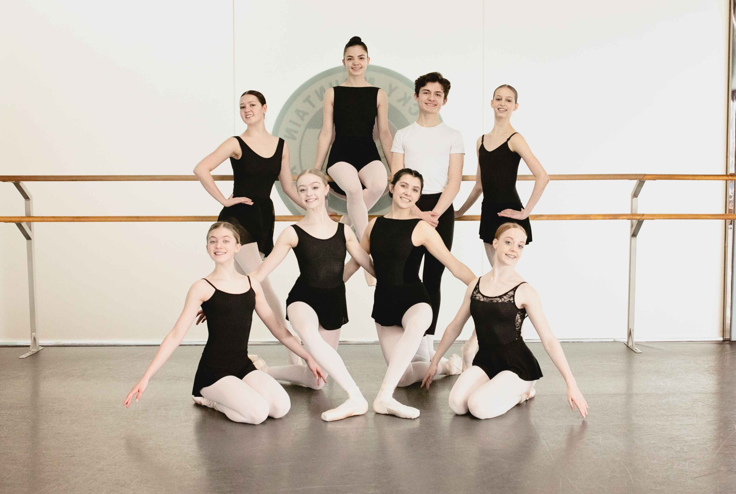 Pre-Professional Division